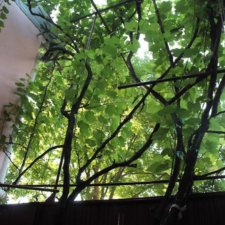Hostel Old City Sololaki Tbilisi Bagian luar foto